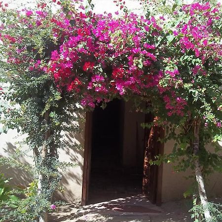 Nour El Gourna Hotel Luxor Exterior photo